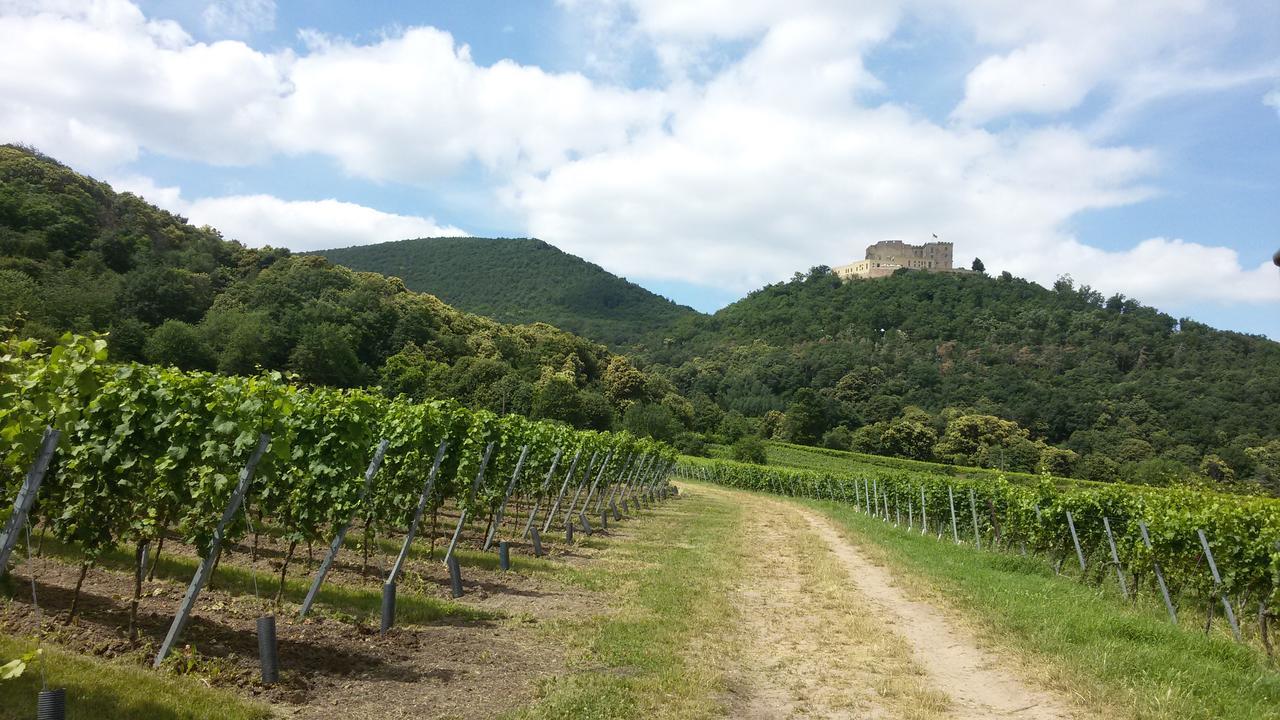 Gaestehaus Weingut Glas Neustadt an der Weinstraße Zewnętrze zdjęcie
