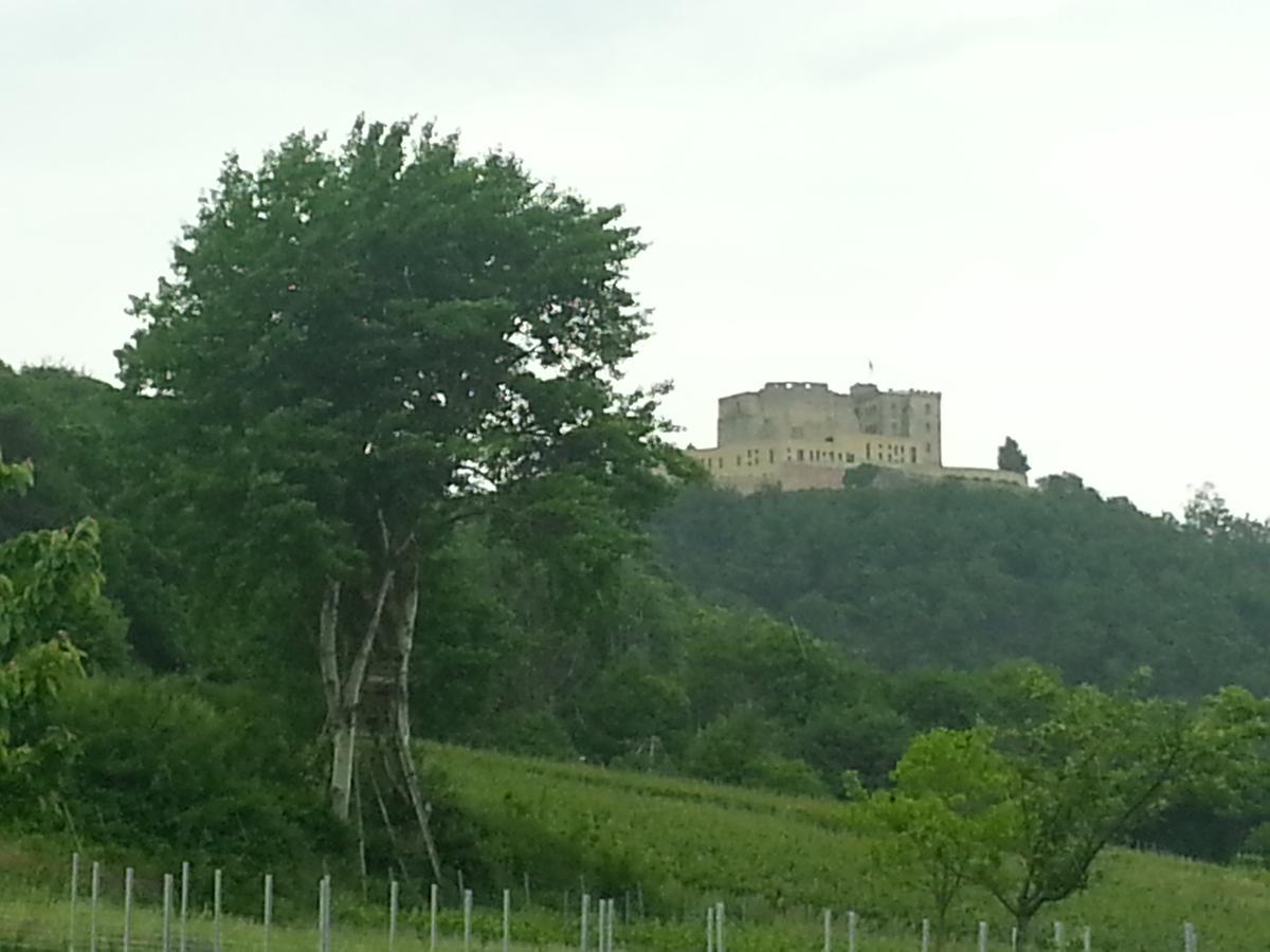 Gaestehaus Weingut Glas Neustadt an der Weinstraße Zewnętrze zdjęcie